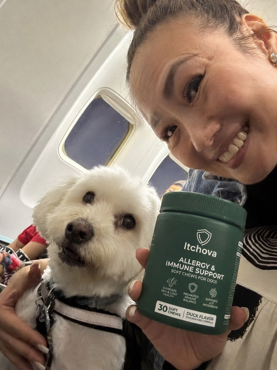 Dog parent traveling with her dog and an Itchova jar